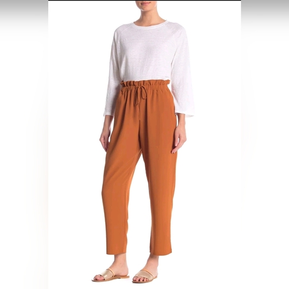 Eileen Fisher Rust Crepe Tencel Pants Ankle Drawstring Comfort Sz M - Picture 1 of 15